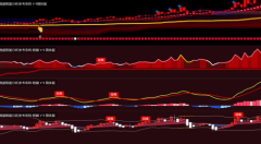 南正奇数字科技无限公司是正在中国海南正式注