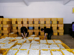 犹如点亮南坪乡苍生健康的“灯塔”——这恰是